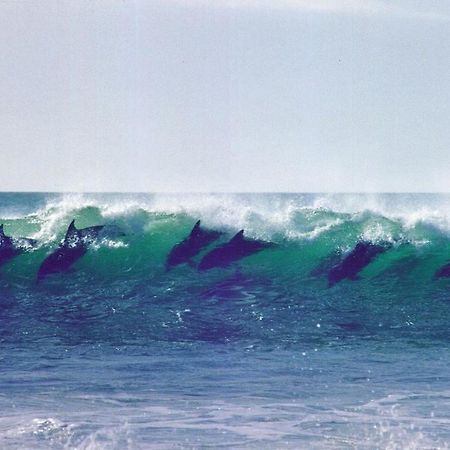 Hotel Diaz 15 House On The Bay Jeffreys Bay Esterno foto