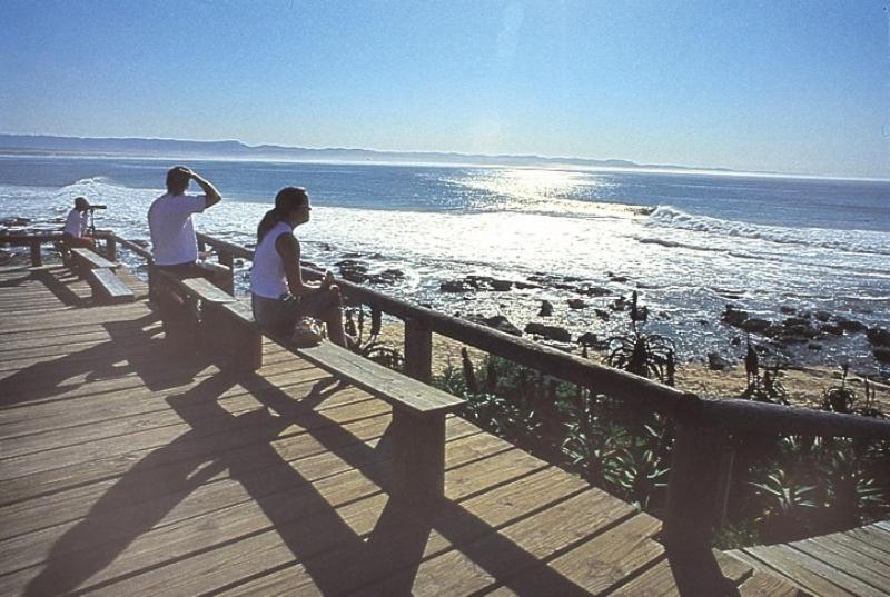 Hotel Diaz 15 House On The Bay Jeffreys Bay Esterno foto